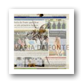 Digital representation thumbnail