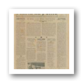 Jornal N.º 019 (07)
