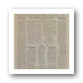Jornal N.º 007 (08)